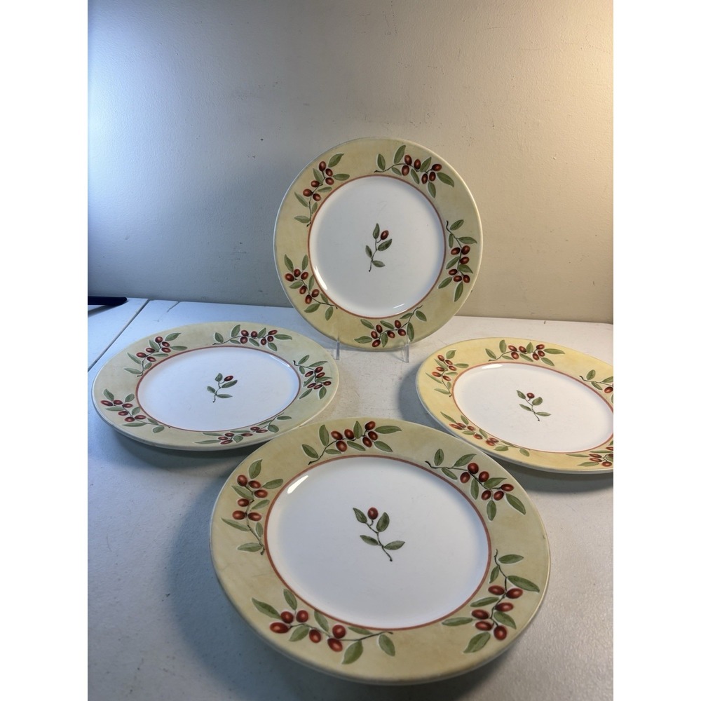 Corelle Ultra Radiance Vitrelle 10.75" Dinner Plates Berries Set Of 4 HTF!
